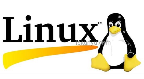 有没有一个特别好用的 Linux 系统？推荐与指南